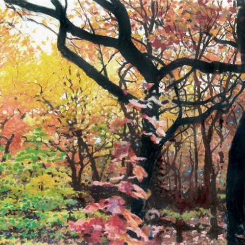 Central Park in the Fall No. 3